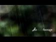 Rain8 308